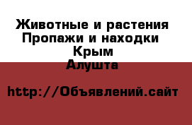 Животные и растения Пропажи и находки. Крым,Алушта